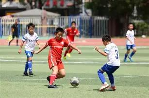 女排世界杯,圆满收官,朱婷再度荣,开云体育,开云体育官网,开云体育app,开云体育平台,KAIYUN,SPORTS,kaiyun登录入口