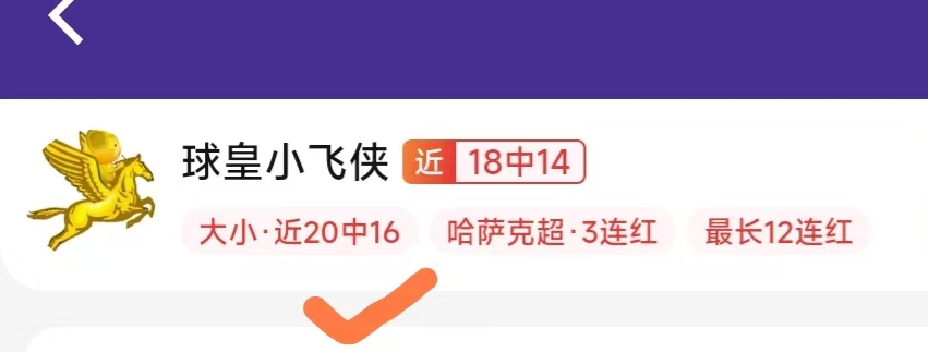体育品牌赞助赛事，观众热情高涨